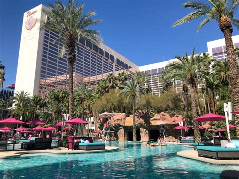 lv by the pool on the go|flamingo las vegas pool reservations.